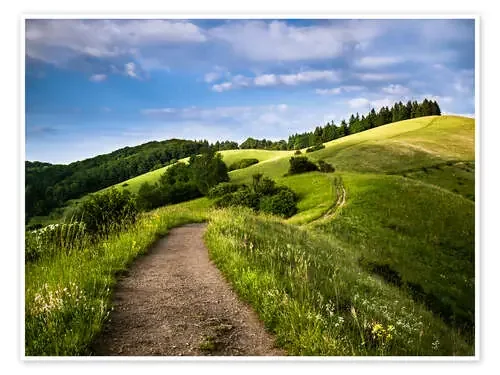 Path over Rolling Hills in Summer de Andreas Wonisch