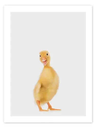 Patito III de Animal Kids Collection Editors Choice