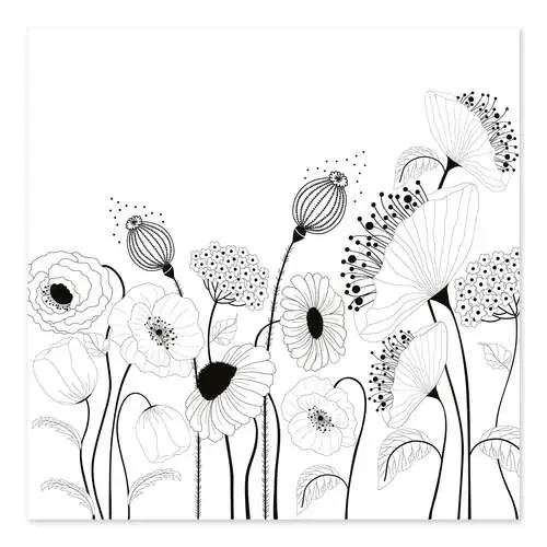 Pequeño campo de amapolas Editors Choice