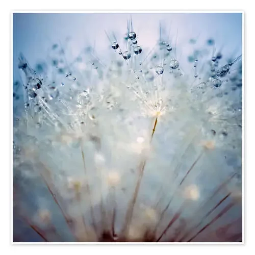 Perlas de gotas Editors Choice