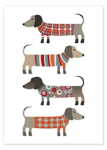 Perros salchica con jersey de Nic Squirrell