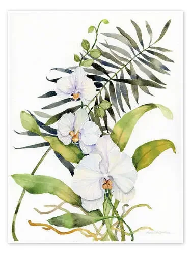 Phalaenopsis botánico de Kathleen Parr McKenna Wild Apple Graphics