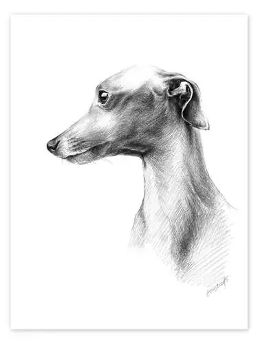 Piccolo Leviero Italiano de EDrawings38
