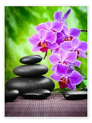 Piedras zen y orquídeas Editors Choice