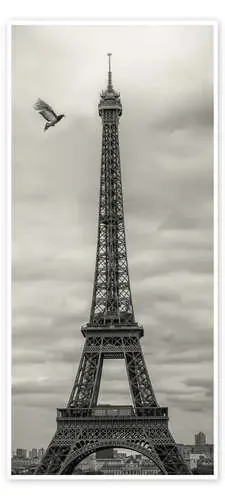 Pigeon and Eiffel Tower Editors Choice