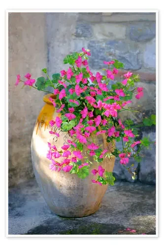 Pink Patio Flowers de Simon Kayne MGL Licensing