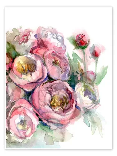 Pionees de Verbrugge Watercolor