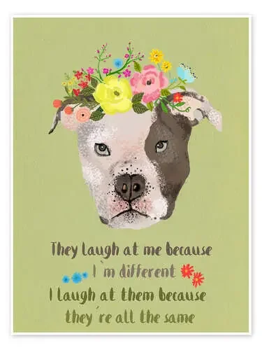 Pitbull de Taika Tori