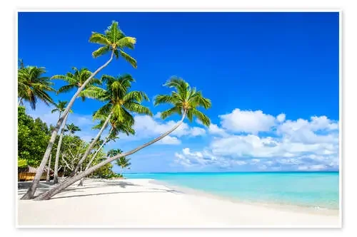 Playa de arena blanca con palmeras de Jan Christopher Becke