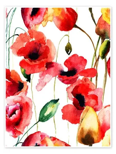 Poppy and Tulips flowers Editors Choice