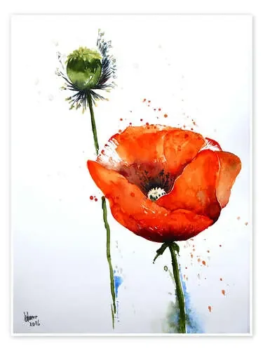 Poppy II de Brigitte Dürr