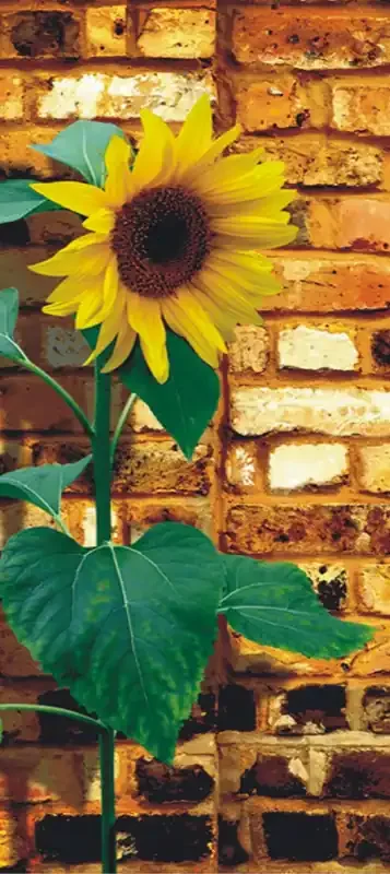 póster decorativo flores beige, amarillo y verde de Sanders & Sanders – 600795