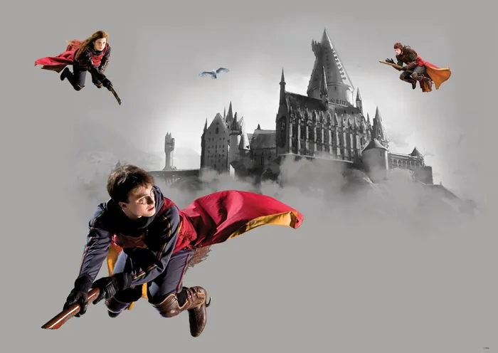póster decorativo Harry Potter Colegio Hogwarts gris y rojo de Sanders & Sanders – 601249
