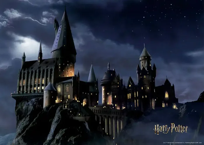 póster decorativo Harry Potter Colegio Hogwarts negro y azul oscuro de Sanders & Sanders – 601251