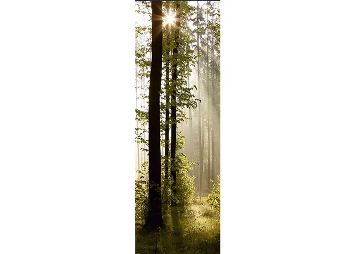 póster decorativo paisaje boscoso verde y negro de Sanders & Sanders – 601058
