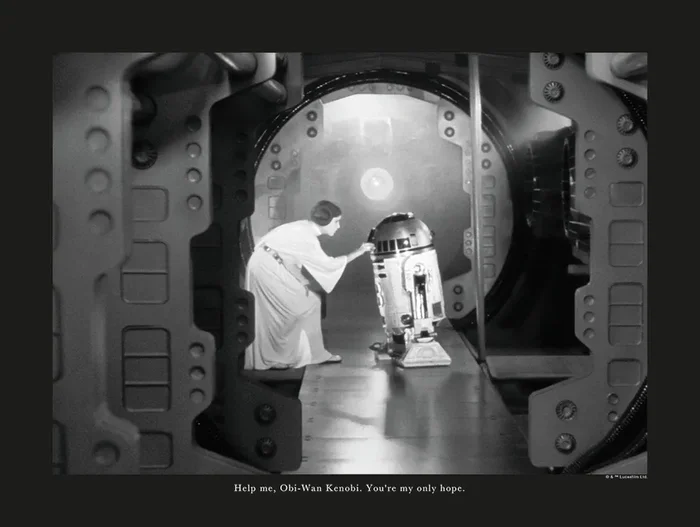 póster decorativo Star Wars Leia & R2D2 blanco y negro de Disney – 610254