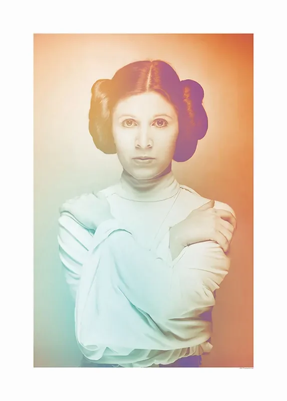 póster decorativo Star Wars Leia naranja y verde de Disney – 610211