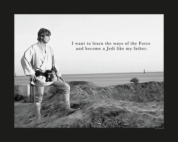 póster decorativo Star Wars Luke Skywalker blanco y negro de Disney – 610258
