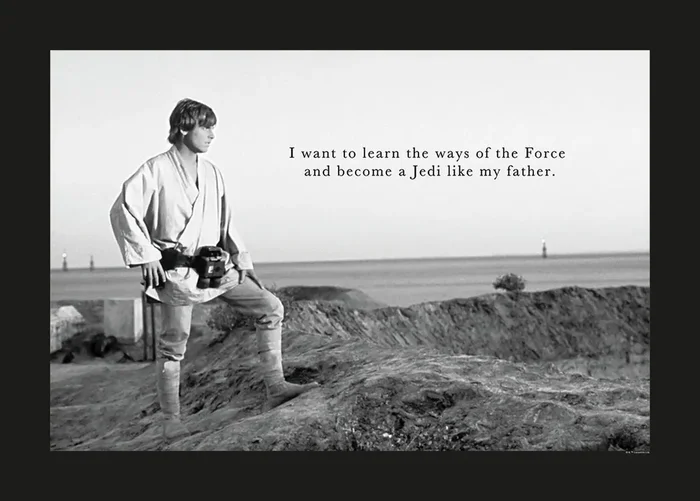 póster decorativo Star Wars Luke Skywalker blanco y negro de Disney – 610259