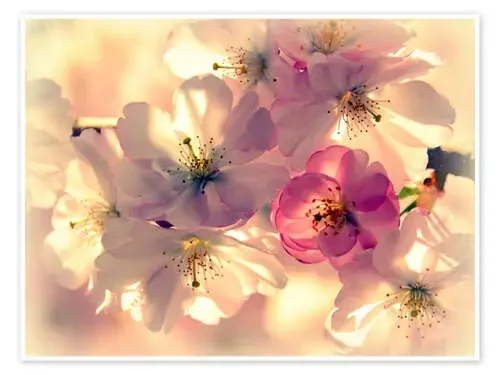 Primavera delicada de GUGIGEI