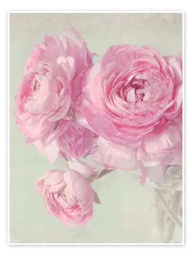 Primavera rosa de Lizzy Pe