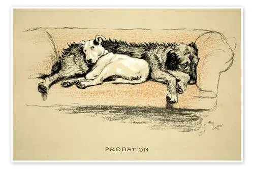 Probation de Cecil Charles Windsor Aldin Bridgeman Images