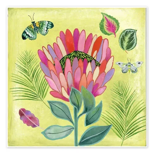 protea de Janet Broxon