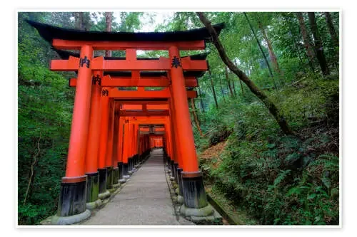 Puertas Torii en Kyoto de Dennis Flaherty Danita Delimont