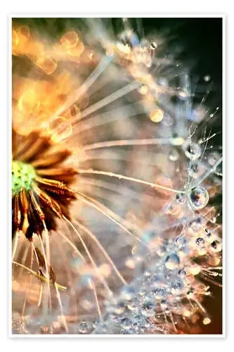 Pusteblume Delightful de Julia Delgado