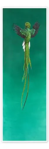 Quetzal de Tim Hayward Bridgeman Images
