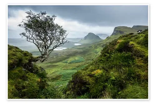 Quiraing, isla de Skye, Escocia II de Markus Ulrich