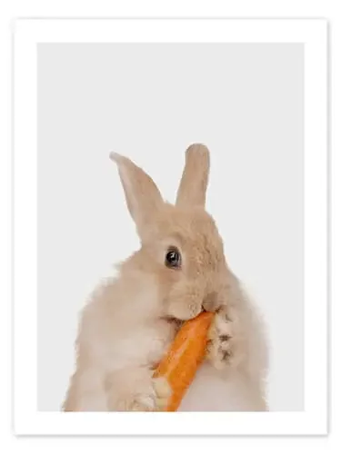 Rabbit with a carrot I de Animal Kids Collection Editors Choice