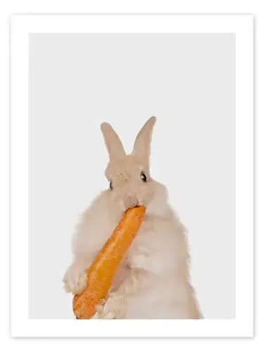 Rabbit with a carrot II de Animal Kids Collection Editors Choice