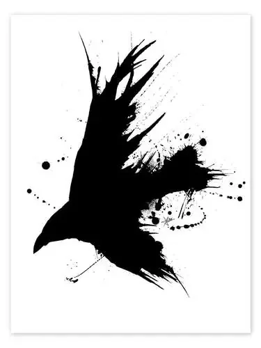 Rabe Ink Black de Christian Klute