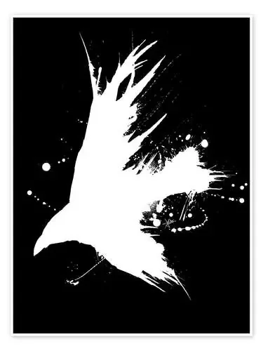 Rabe Ink Black de Christian Klute