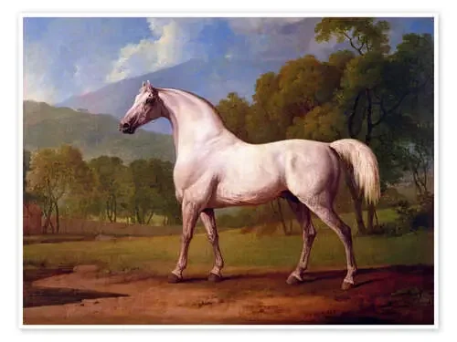 Racehorse Mambrino de George Stubbs Bridgeman Images