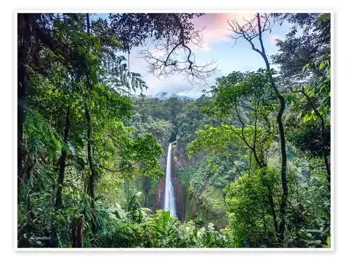 Rainforest and Waterfall, Costa Rica de Matteo Colombo