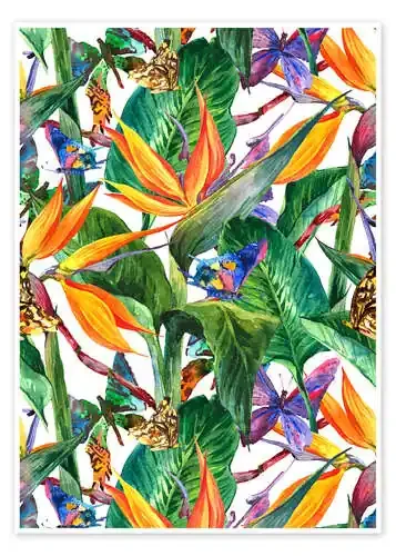 Ramo tropical Editors Choice