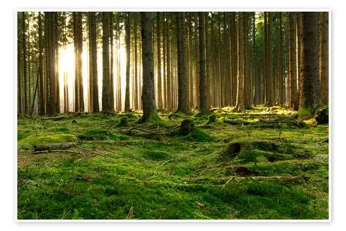 Ray of hope de Oliver Henze