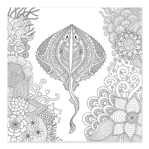 Raya y corales Editors Choice