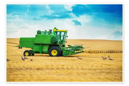 Recogida en el campo Editors Choice