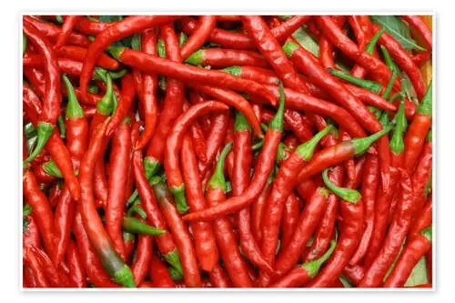 Red hot chili peppers Editors Choice