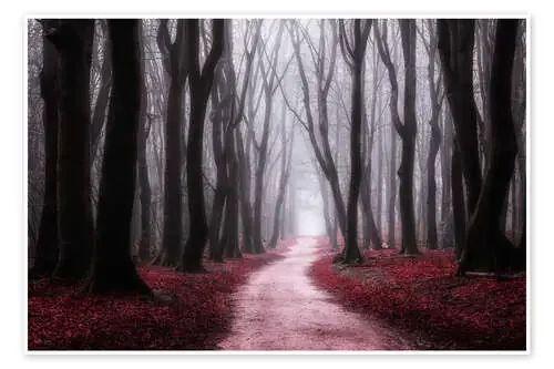 Red Reverie de tvurk photography