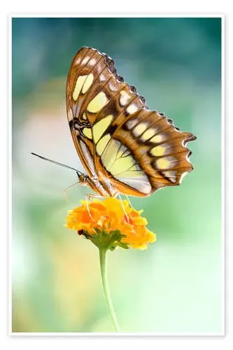 Refueling de Bettina Dittmann