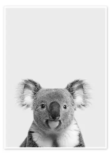 Retrato de un koala en blanco y negro de Finlay and Noa