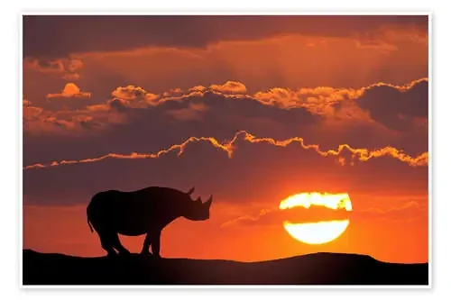 Rinoceronte en la puesta de sol de Jim Zuckerman Danita Delimont