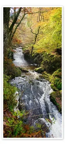 Río en el bosque de Lynmouth de Keith Wheeler Science Photo Library