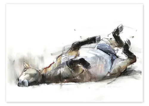Rolling Horse de Mark Adlington Bridgeman Images