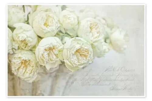 Rosas blancas de Lizzy Pe