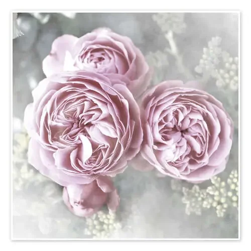 Rosas de estilo shabby de Christine Bässler